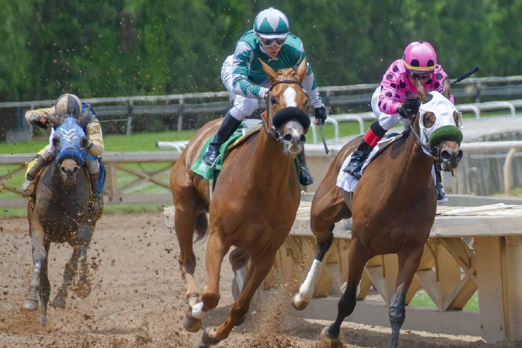 Expect at Bath Racecourse on Easter Sunday