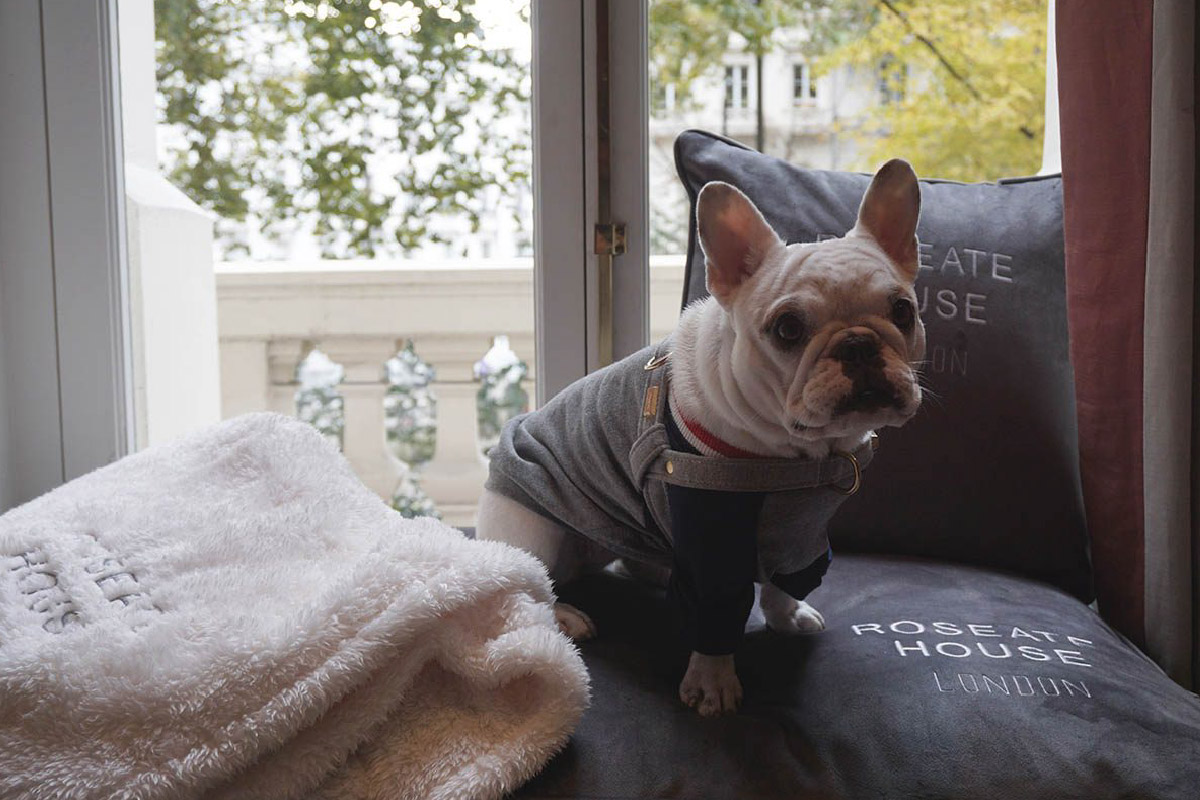 Roseate Hosue London Dine