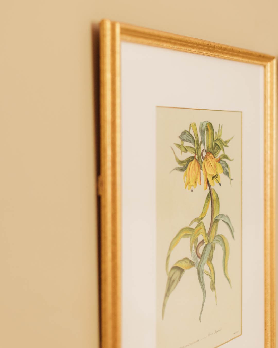 Roseate House London