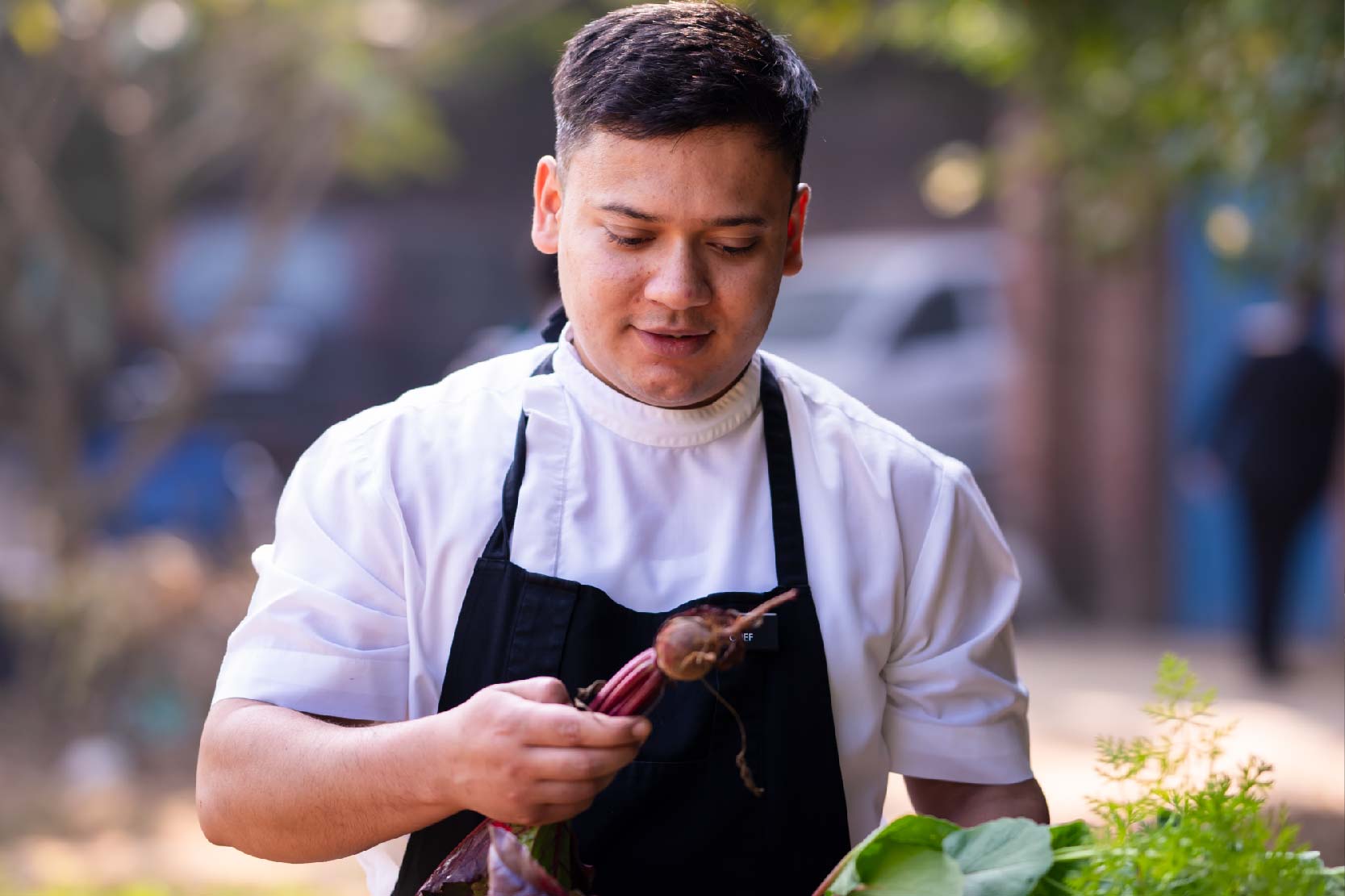 Compensation & Leave