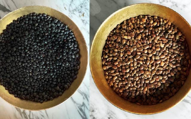 Discovering Millets and Himalayan Ingredients in Rishikesh this Summer 2025