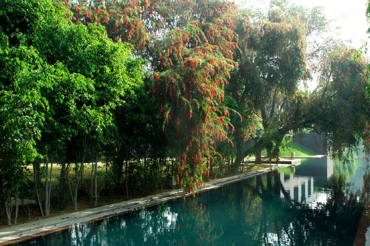 Roseate Environmental Sustainability