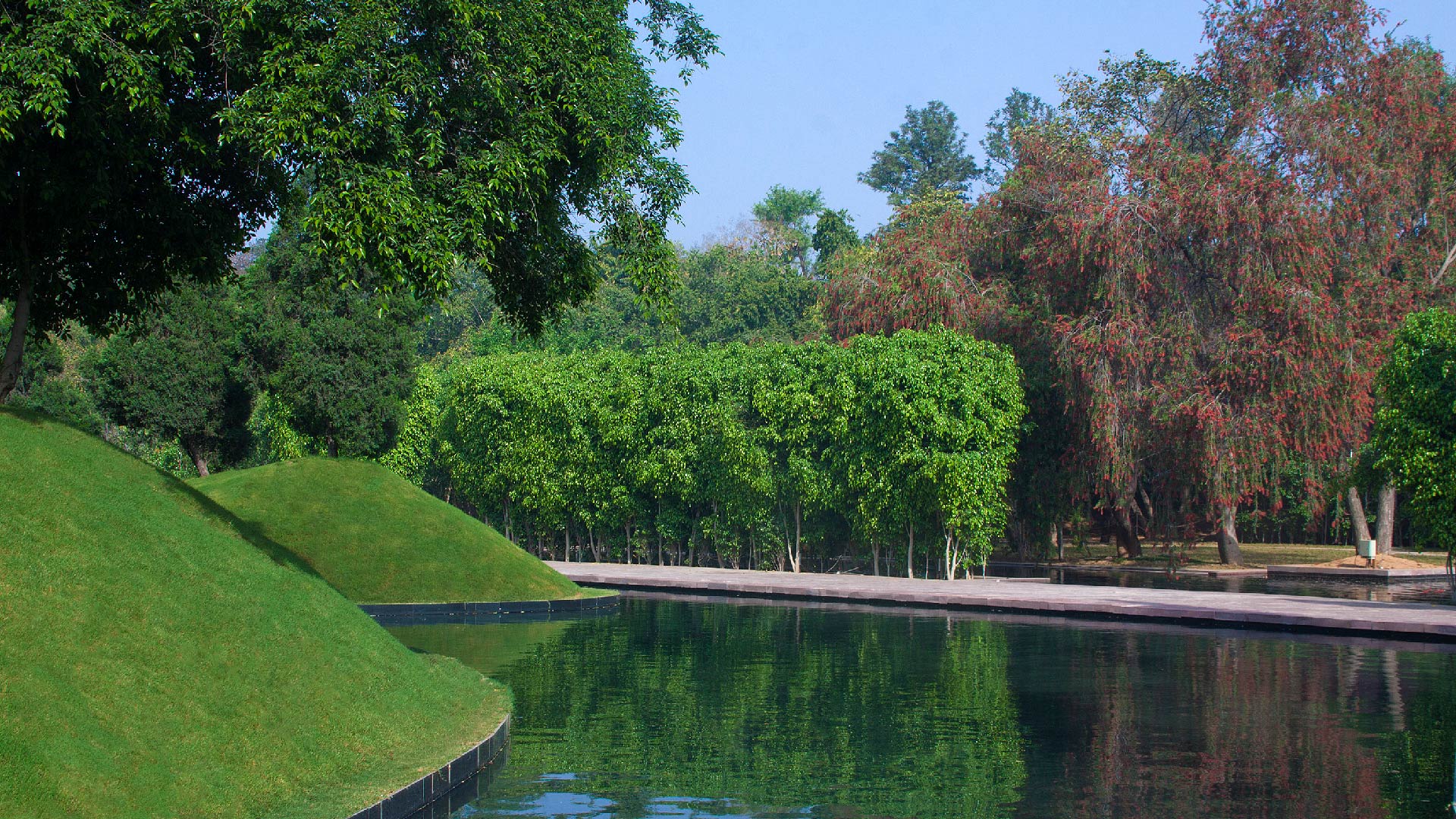 Roseate Kiyan-pathway