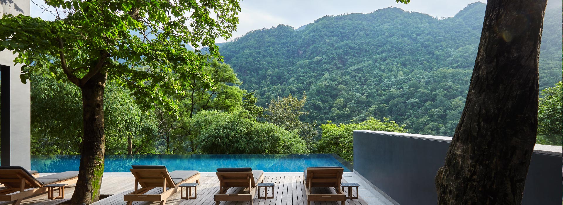 Roseate Kiyan-pathway